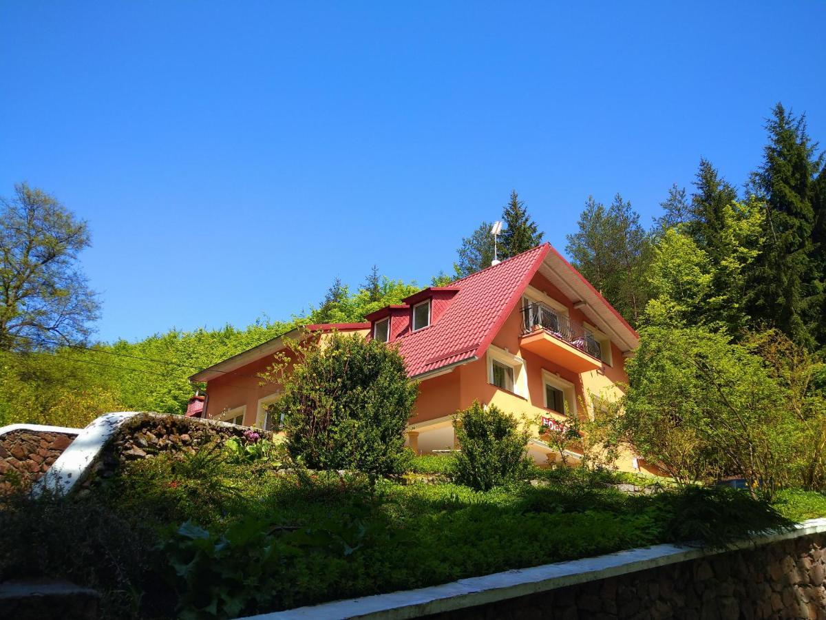 Dworek Lesny Kudowa-Zdrój Extérieur photo