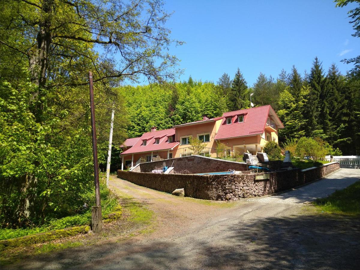 Dworek Lesny Kudowa-Zdrój Extérieur photo