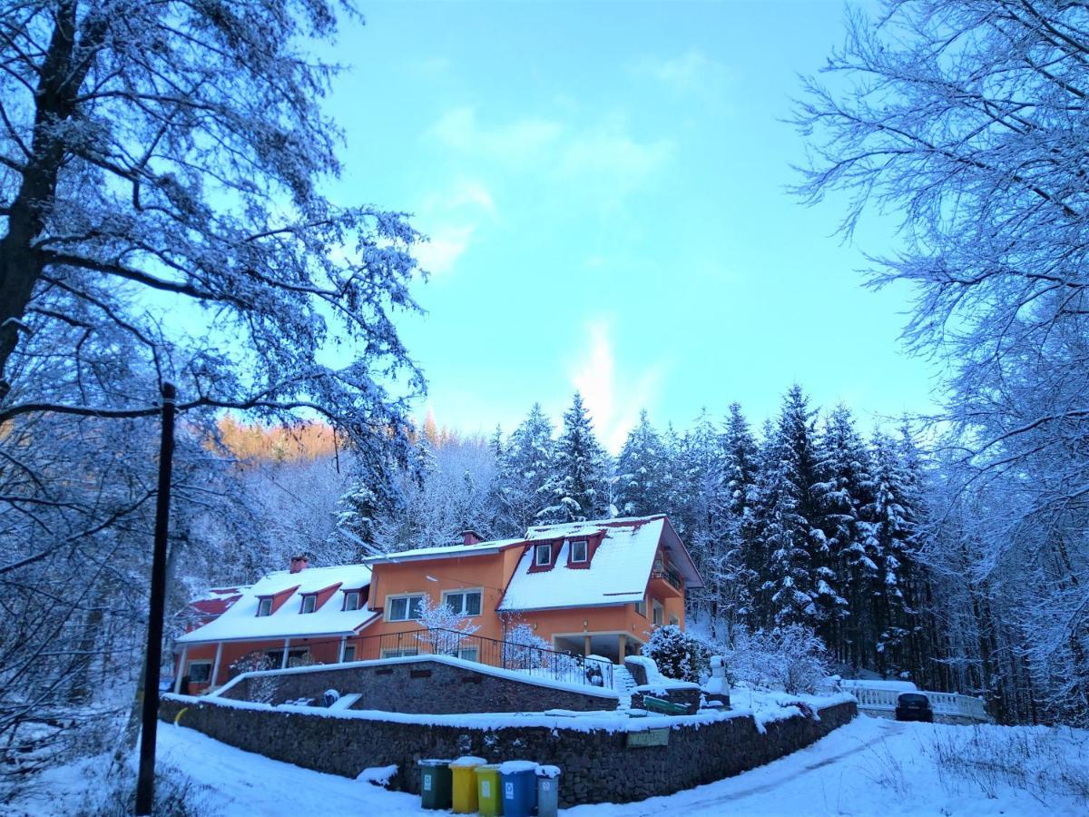 Dworek Lesny Kudowa-Zdrój Extérieur photo
